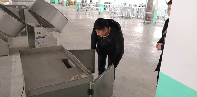 湯圓、元宵制陷機.jpg